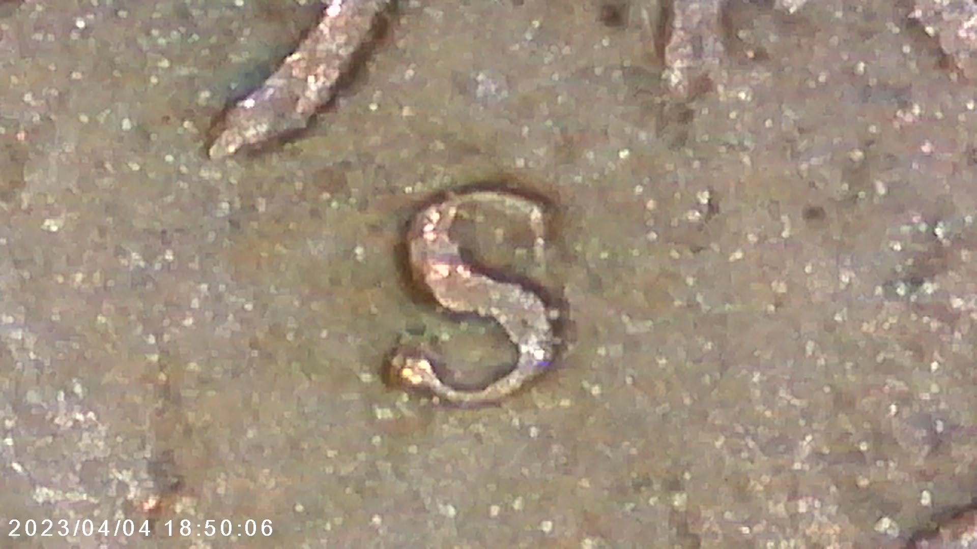 1946-S-Lincoln-Cent---Inverted-MM