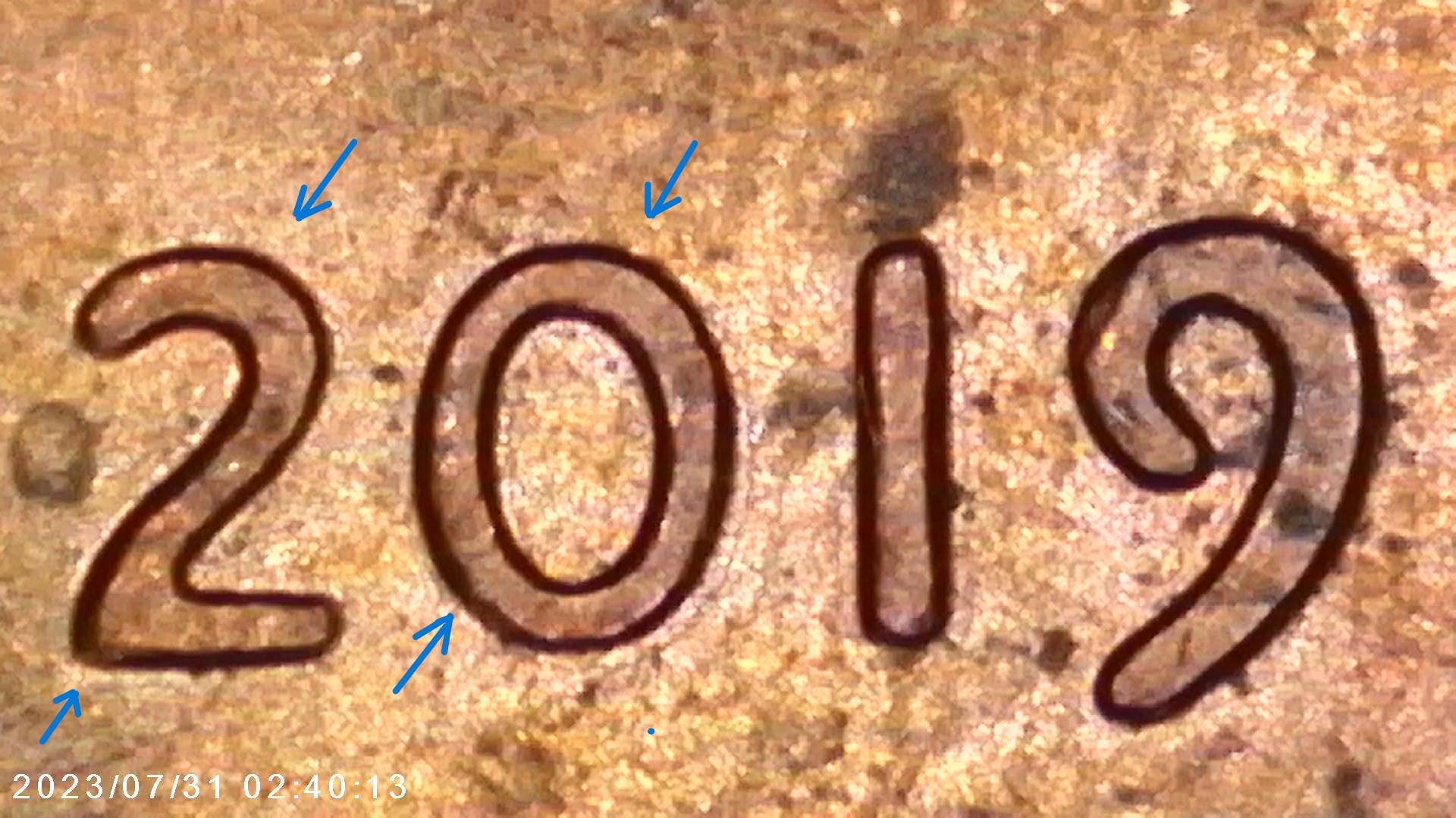 2019-LSC-WDDO---009-?