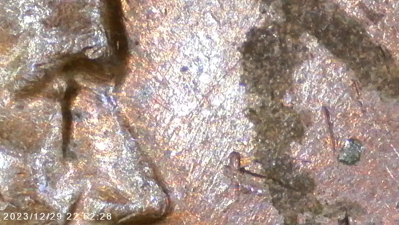 1970-D-DDO-009-Stage-C