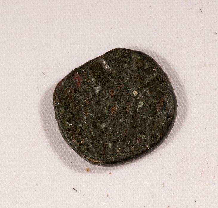 Please-Help-Me-Identify-Coins