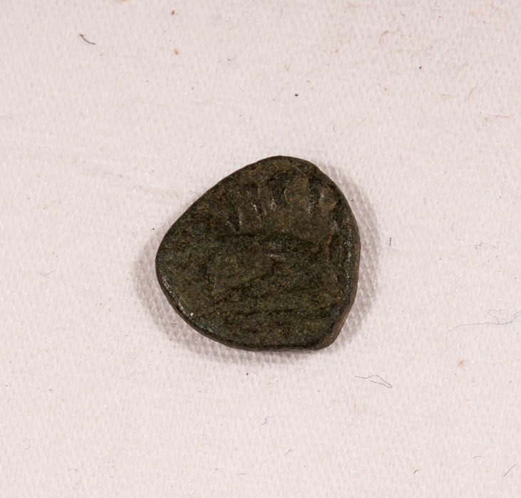 Please-Help-Me-Identify-Coins