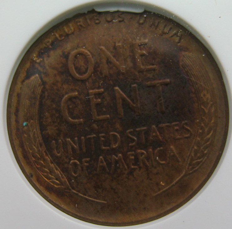 A-Recent-Auction-Win-!!