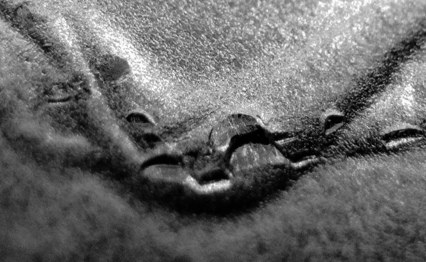 2024-Bullion-ASE-Star-Privy-With-Minor-Spiked-Head/Anomaly/Reed-Marks-Thru-Head-Of-Liberty-Errors!