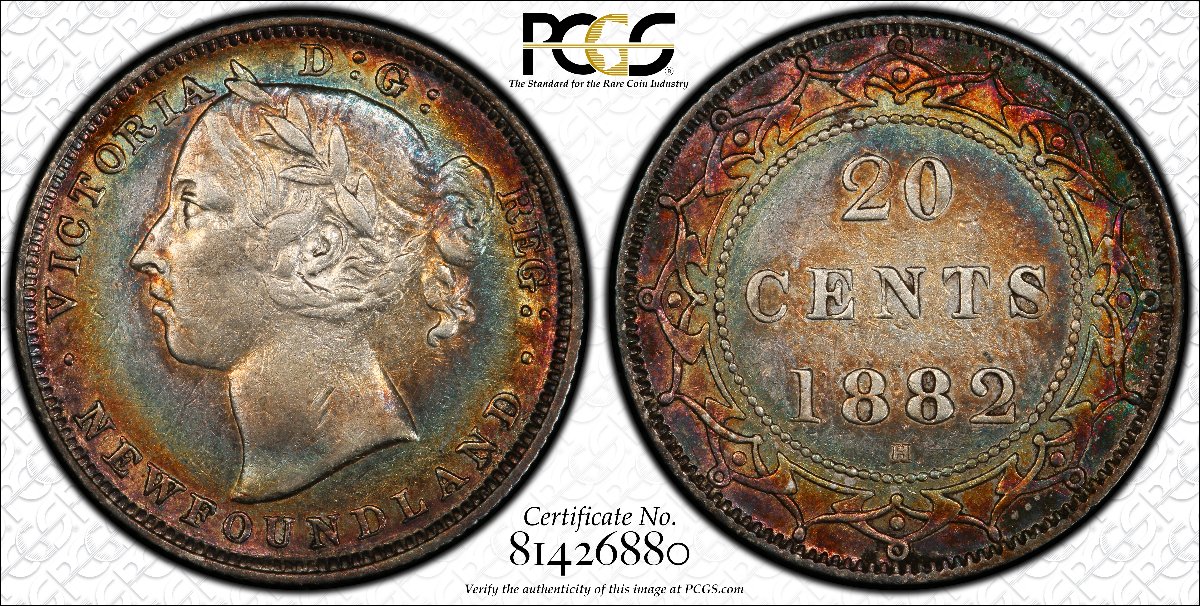 Why-You-Should-Collect-Newfoundland-Coins.