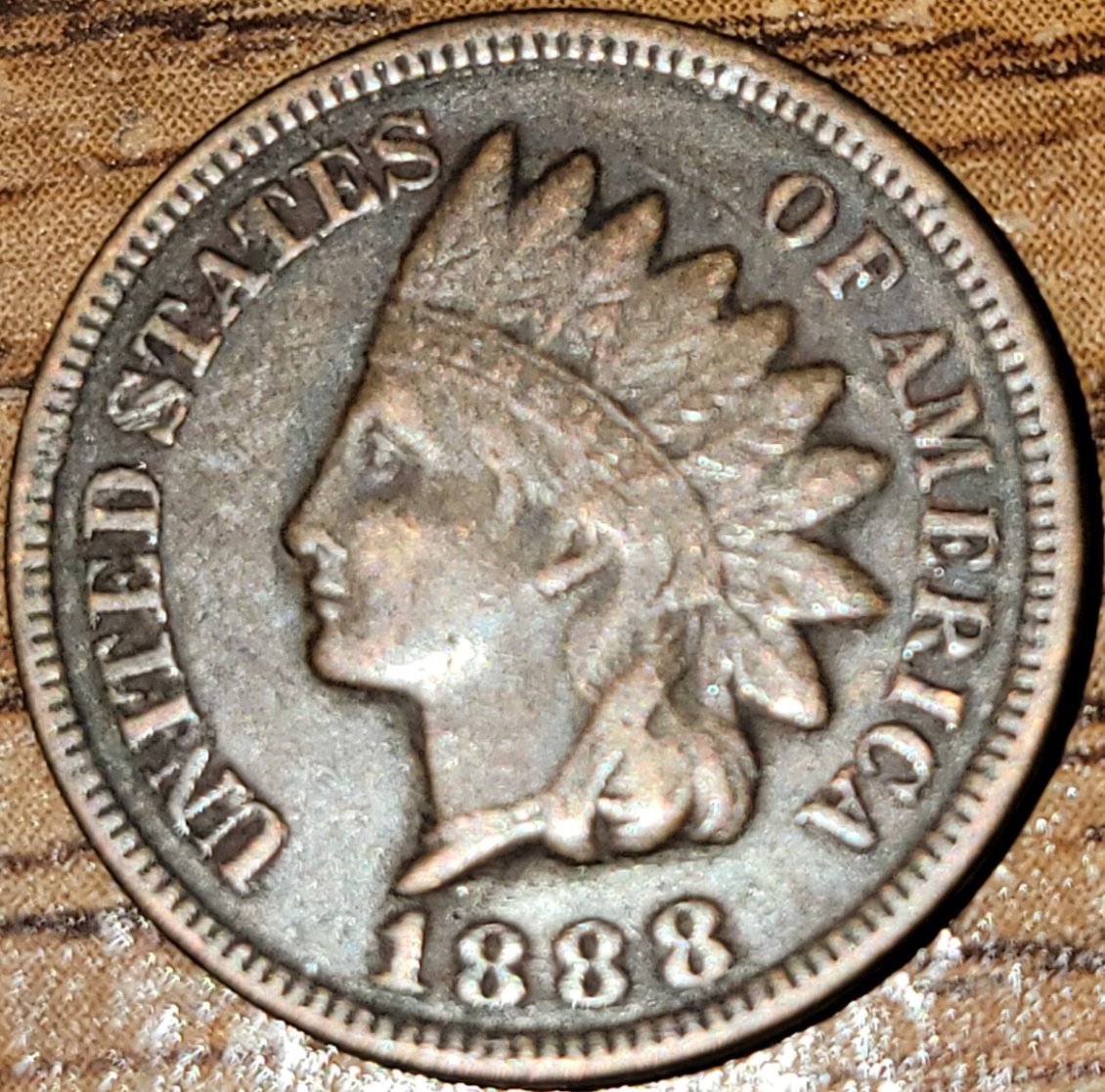 Is-This-A-Basic-1888-Indian-Head?