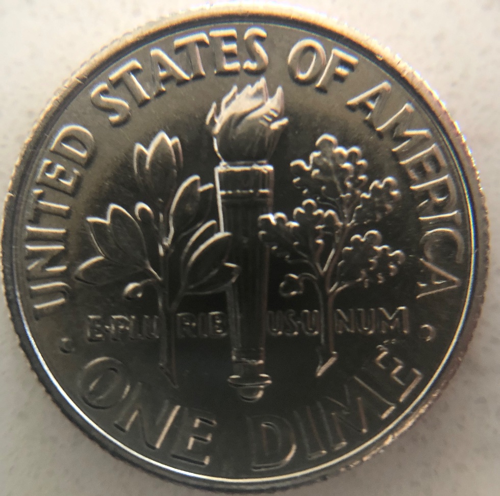2020-D-Dime-Possible-Error