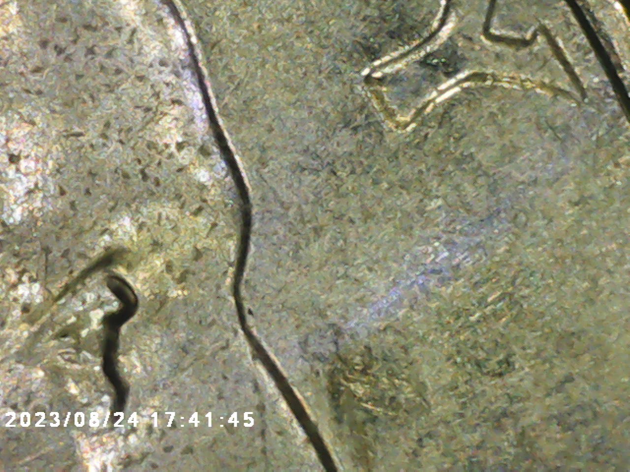2023-P-Jovita-Idar-Quarter.looky-What-I-Found