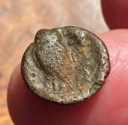 Owl-Coin---Ancient-Greek?