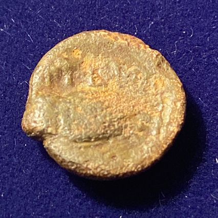 Owl-Coin---Ancient-Greek?