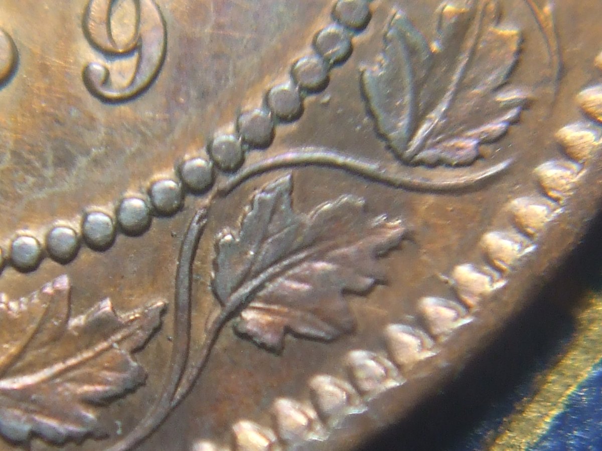 Guess-The-Haxby-1859-Large-Cent-Variety-Game