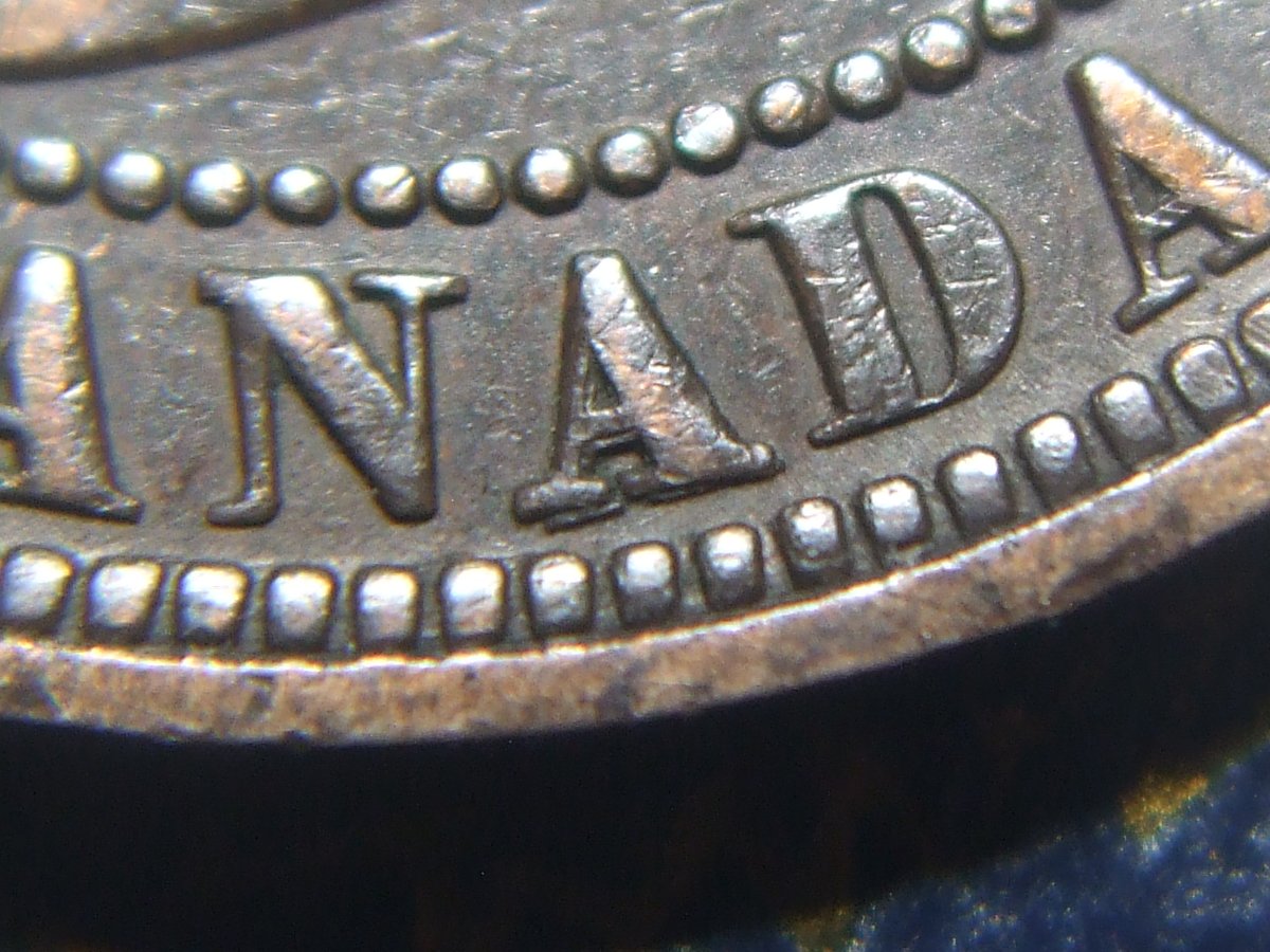 Help-Grade-This-1876-Large-Cent
