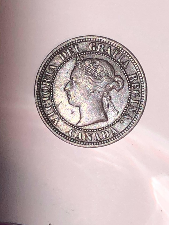 1881-SSN-Large-Cent--Finally-Found-One!!