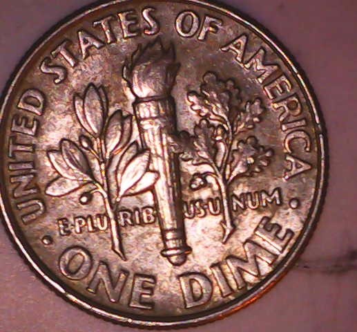Cardinal-Rule.-Do-Not-Clean?