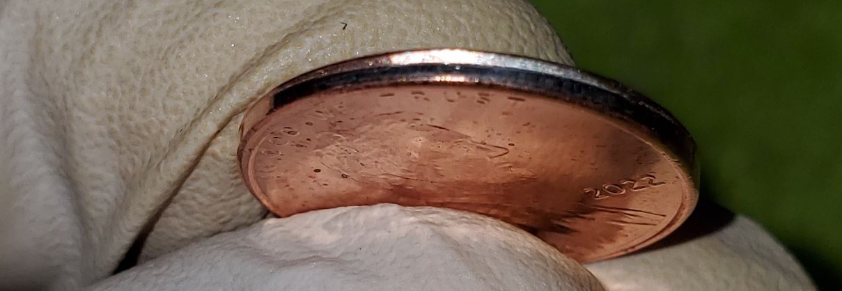 2021-Possible-Ring-Error?