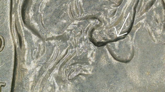 2024-P-Pauli-Murray-Quarter-DDO-Unlisted