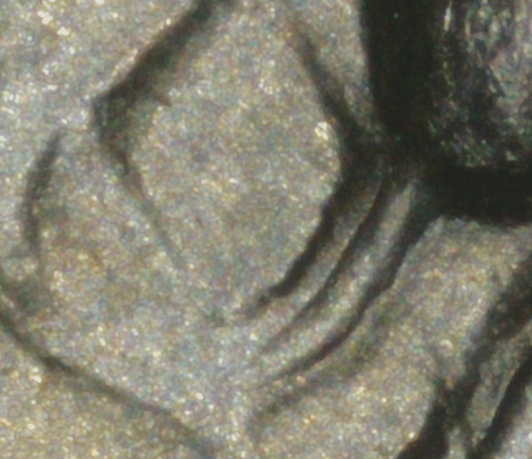 1979-P-Kennedy-Half-Dollar,--DDR-Or-MD?