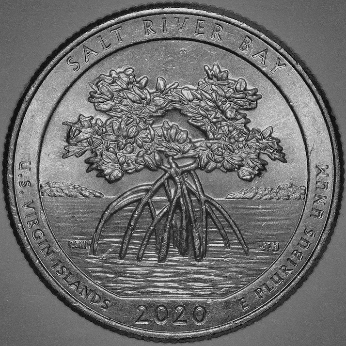 2020-P-US-Virgin-Islands---Salt-River-Bay-WDDR-003-/-VDDR-001
