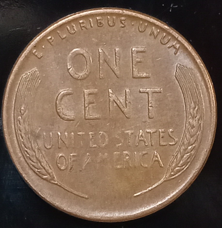 1955-S-Wheat-Penny-For-Grading-Please