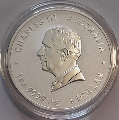 Post-Your-Coins-And-Medals-Featuring-A-Snake.