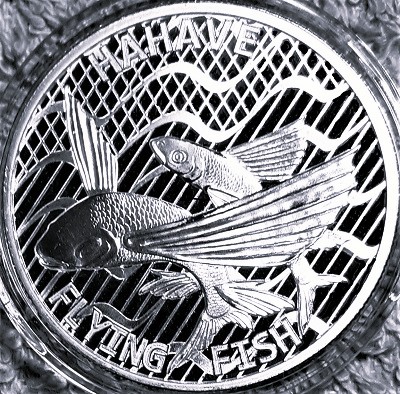 Post-Your-Coins-With-Earrings