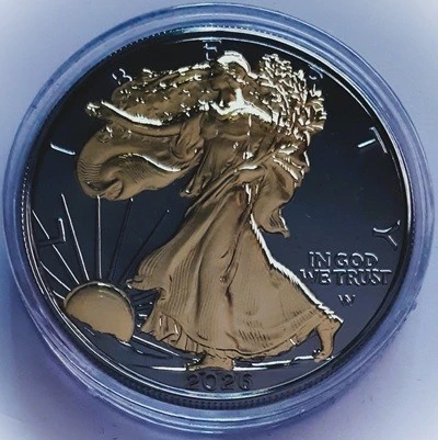 G-L-B-49's-American-Silver-Eagle-Collection