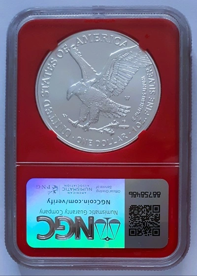 G-L-B-49's-American-Silver-Eagle-Collection