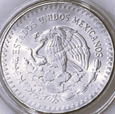 G-L-B-49's-Silver-Libertad-Collection