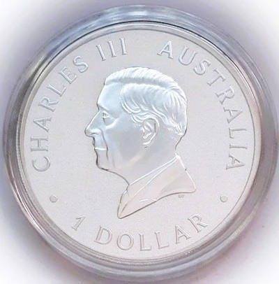 Post-Your-Bird-Coins