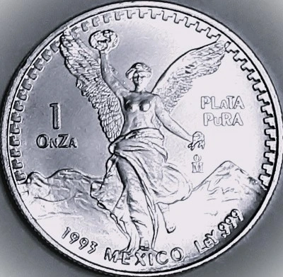 G-L-B-49's-Silver-Libertad-Collection