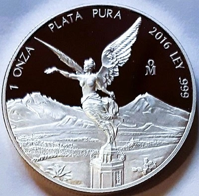 G-L-B-49's-Silver-Libertad-Collection