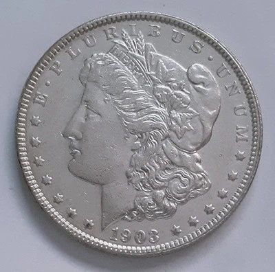 What-Grade-Would-You-Give-This-1903-Morgan?