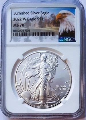 G-L-B-49's-MS-70-Perfect-Silver-Coins