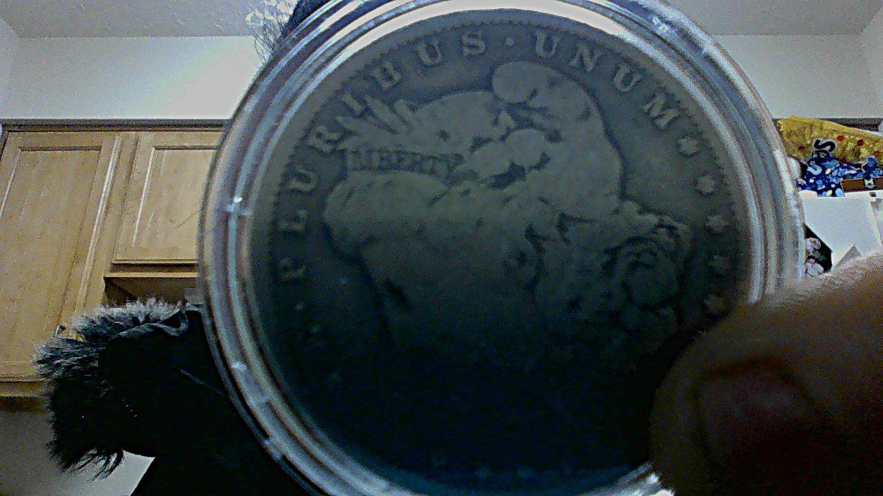 1899--Micro-O-Morgan-Dollar-Strike-Error-On-Headband
