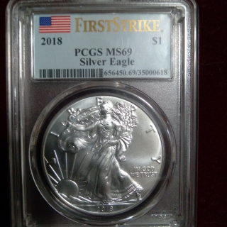 2018-Silver-Eagle,-Struck-Through-Or-Planchet-Error?