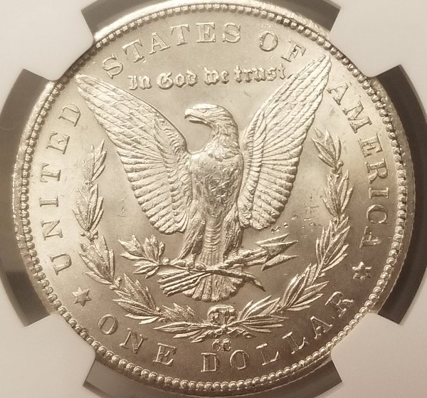 Guess-The-Grade!-1879-CC-Morgan
