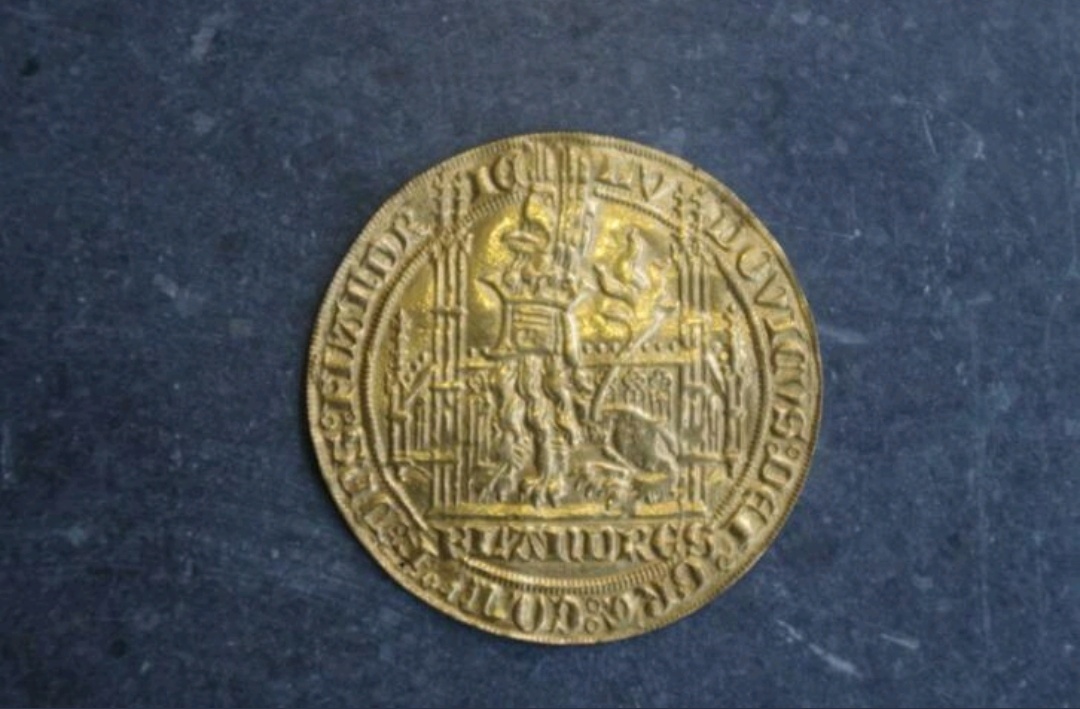 Grading-Of-This-Louis-De-Male-Lion-D'or