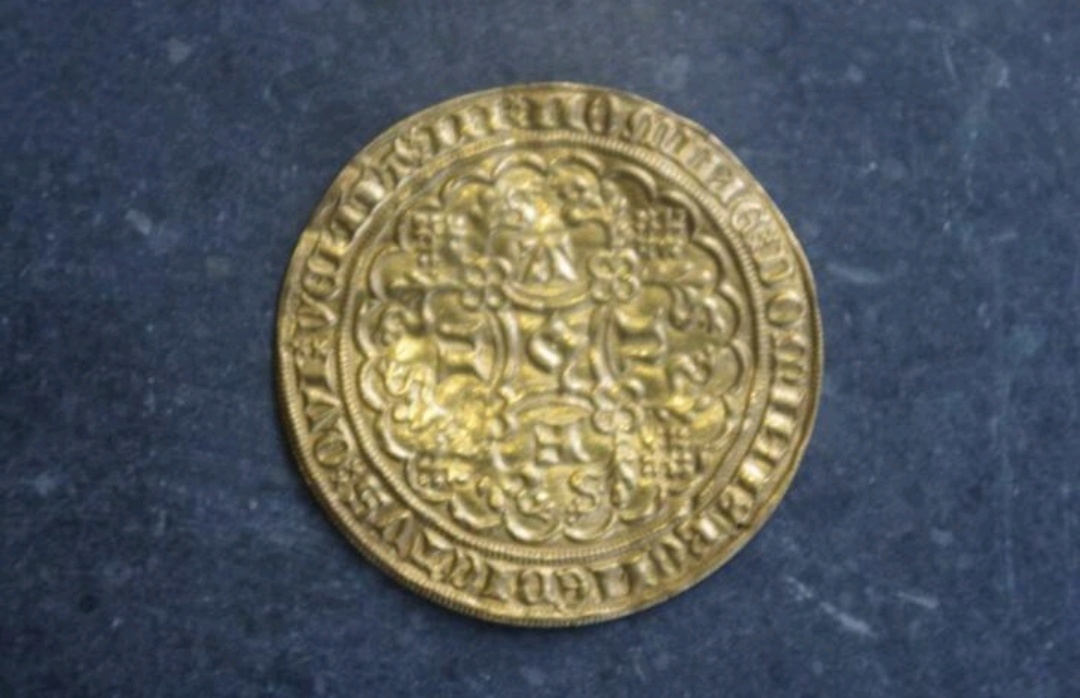 Grading-Of-This-Louis-De-Male-Lion-D'or