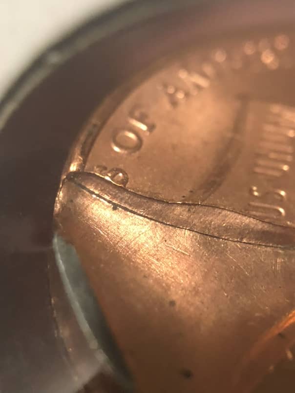 2021-Shield-Cent-Struck-Thru-Webbing