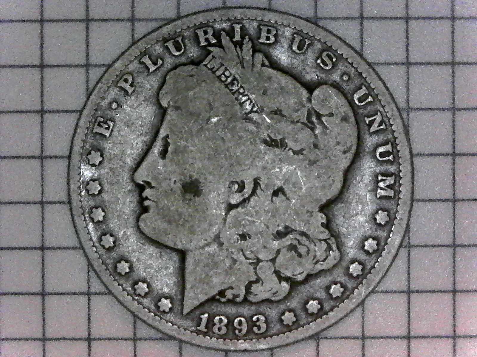 What-Grade?-1895-S-Morgan-Dollar