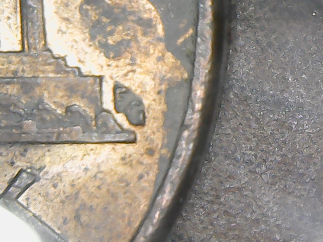 1998-Penny-WAM,-What-Do-You-Think?