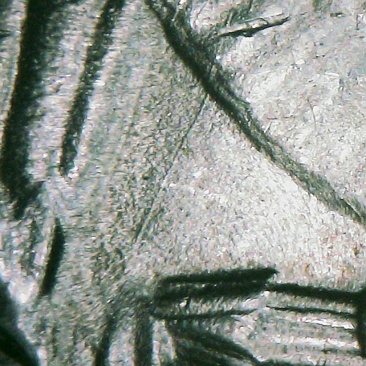 1950-P-Washington-Quarter-FS-801