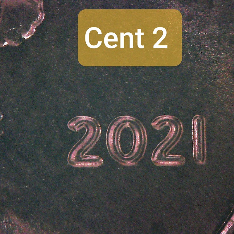 2021-P--LSC-Date-Question