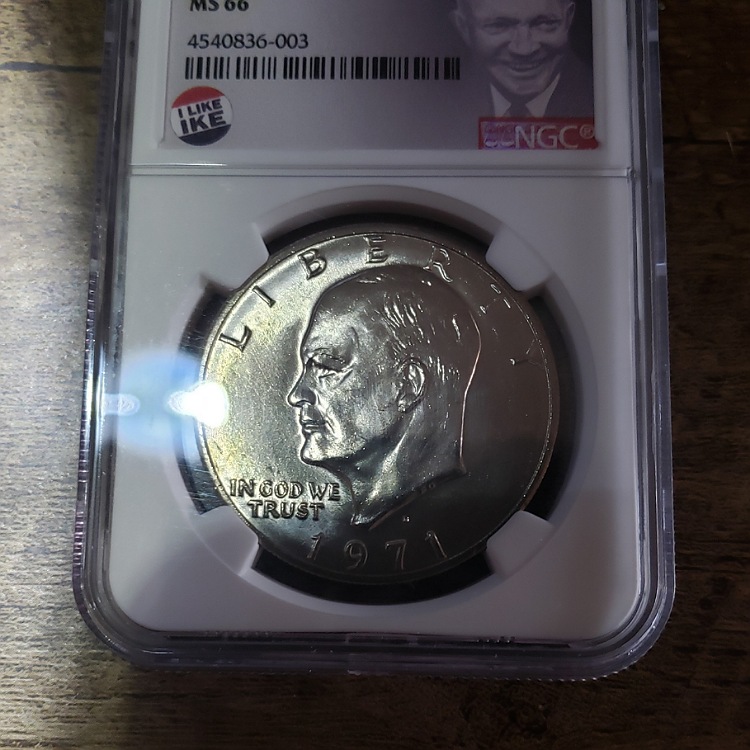 1971-D-Ike-Talon-Head-Leaf-Clash-Overpolished-Eye