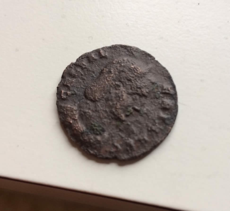 Need-Help-On-ID----Salonina?