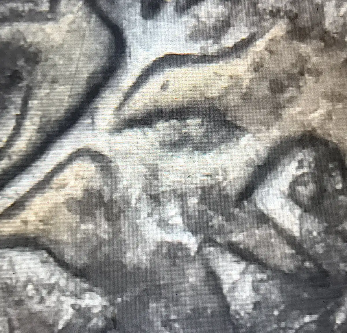 Is-This-A-Type.b-Reverse-On-A-1964-Philadelphia-Quarter?