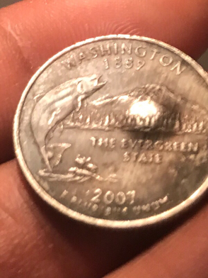2007-Washington-State-Quarter-With-Bubble