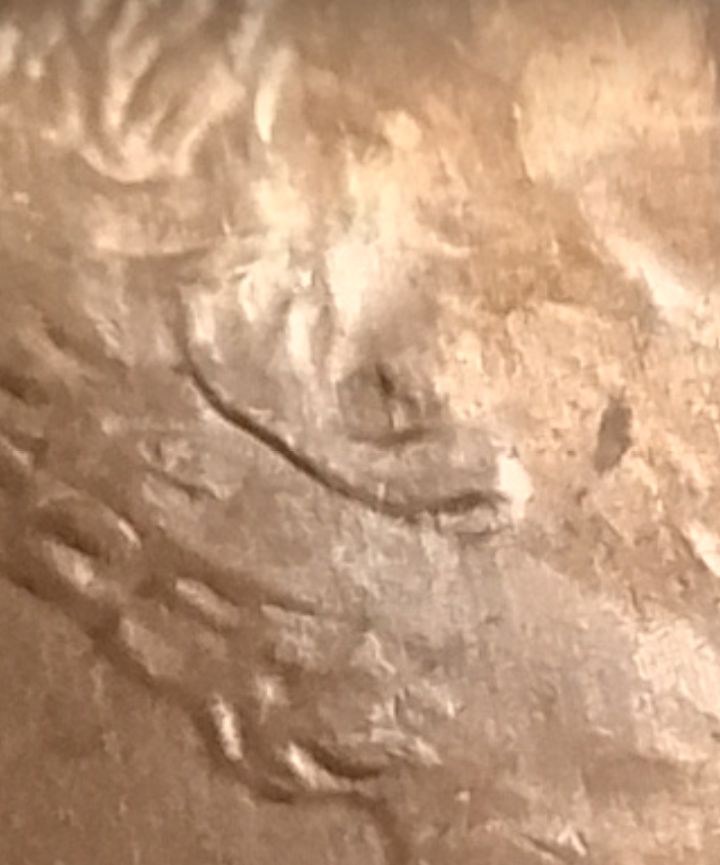 1-Cent-2000-D:-Is-It-A-Double-Ear?