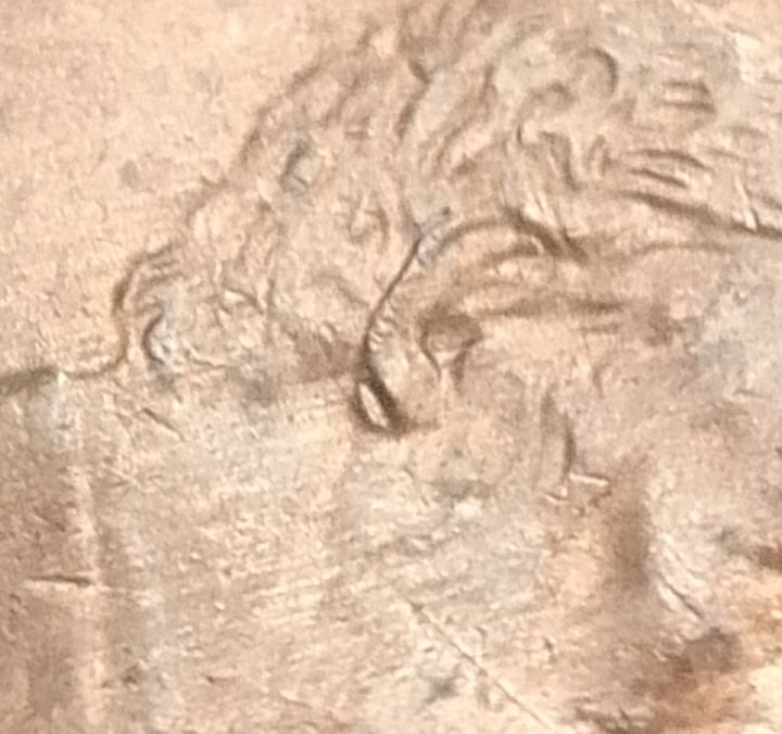 1-Cent-2000-D:-Is-It-A-Double-Ear?