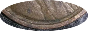 1919-P-Wheat,-Missing-VDB-Initials