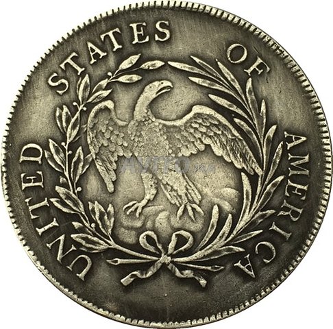 Flowing-Hair-Coin-1798